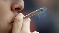 France holds  Europe's top spot for cannabis use