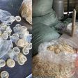 Police seize 324,000 used condoms after raiding a company repackaging them for sale