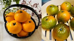 These juicy-looking fruits are not what they seem