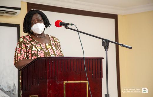Prof Jane Naana Opoku-Agyemang