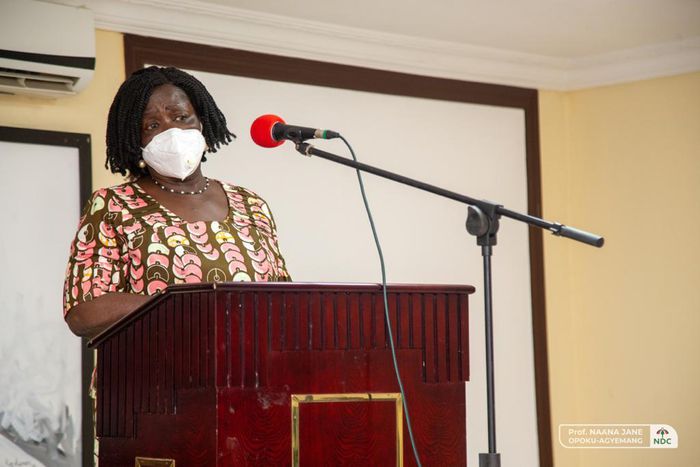Prof Jane Naana Opoku-Agyemang