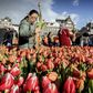 Tulips from Amsterdam are shipped all over the world