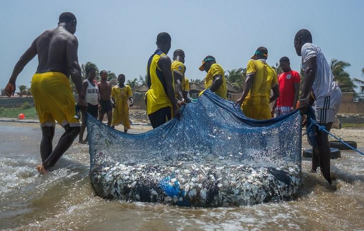 A bumper catch