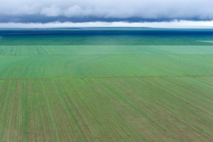 A vast soy bean field in in Campo Novo do Parecis, in Mato Grosso state, Brazil. The 'Ferrograo' is a controversial project of construction of a trans-Amazonian train in Brazil to speed up its huge grain exports.
