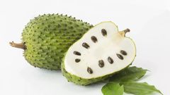 Soursop