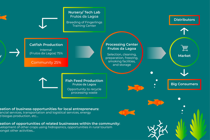 In Angola, Coopera is a Credit Cooperative but has the development of the community at heart - Alberto Mendes