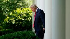 Trump rose garden sad