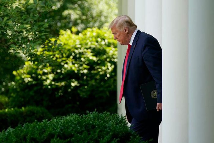 Trump rose garden sad