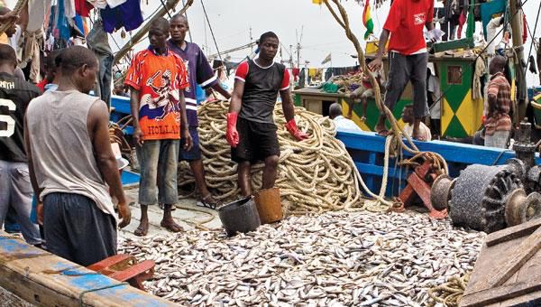 A good day could fetch about GHc40,000