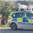 Goats “hijacked and destroyed” police car in Isle of White