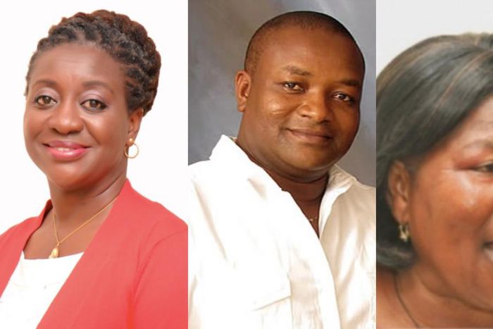 EC clear 12 presidential candidates to contest 2020 elections