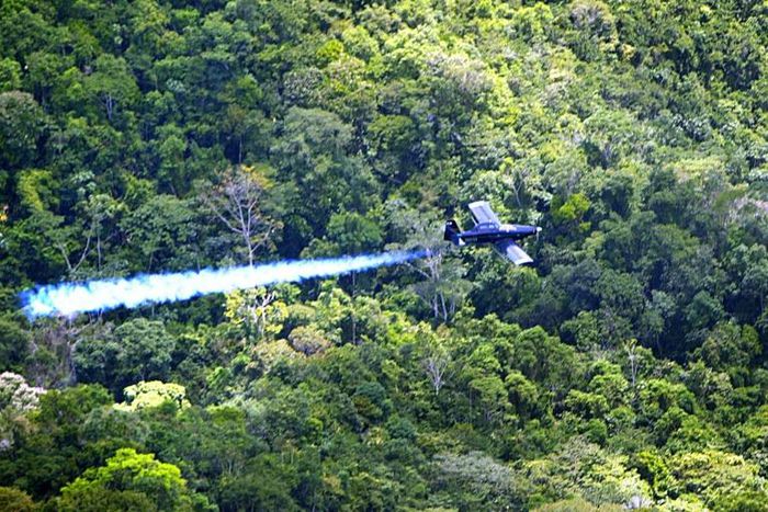 Colombia stopped aerial spraying of illegal coca planatations in 2015 following a report by the World Health Organization on its dangers
