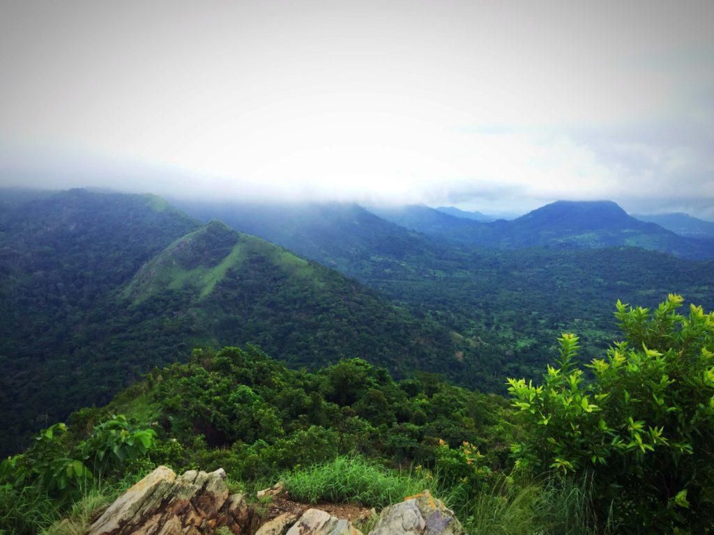 Mountain Afaja