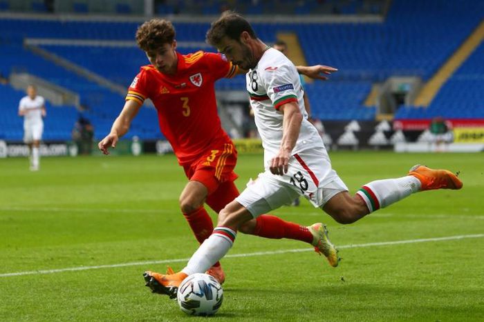 Neco Williams got Wales' winner against Bulgaria