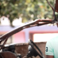 Kelvin Odartey