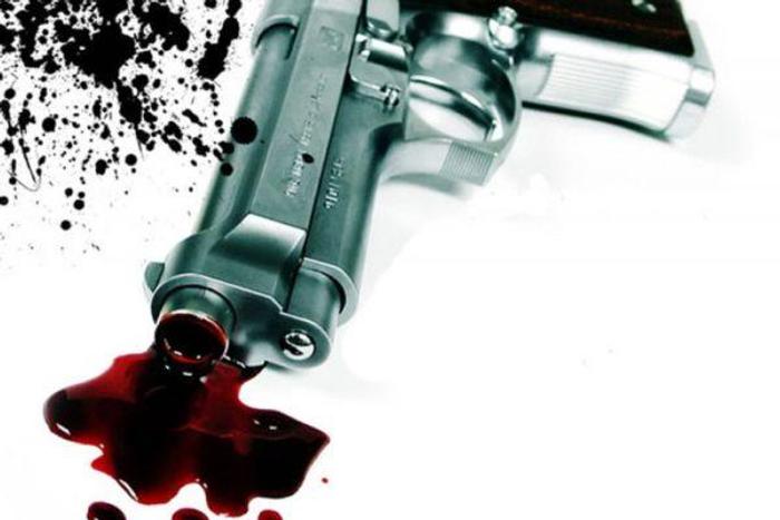 Gun