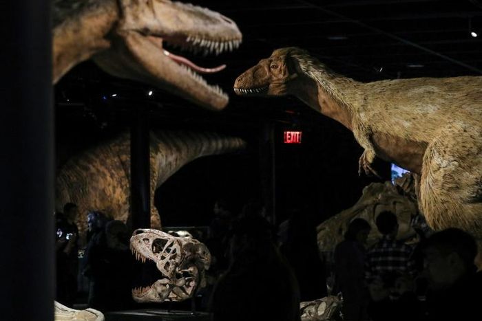 A new study identifies the first known case of cancer in dinosaurs and shows they suffered from the debilitating disease too