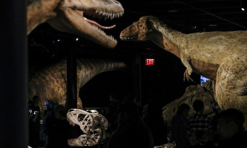 A new study identifies the first known case of cancer in dinosaurs and shows they suffered from the debilitating disease too