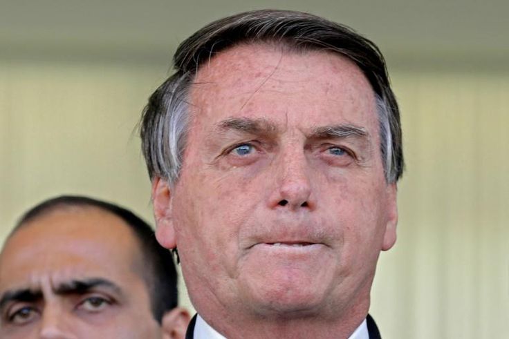 Brazilian President Jair Bolsonaro is accused by environmental NGOs of allowing large-scale deforestation of the Amazon