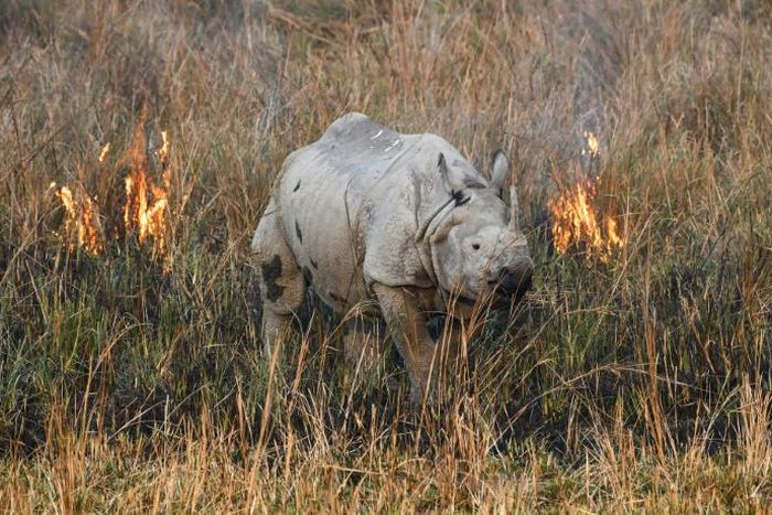 WWF now calculates we are overusing the planet's capacity by more than half