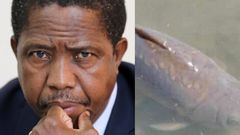 Zambian President joins citizens to mourn the death of 22-years-old fish