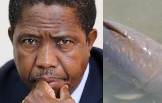 Zambian President joins citizens to mourn the death of 22-years-old fish