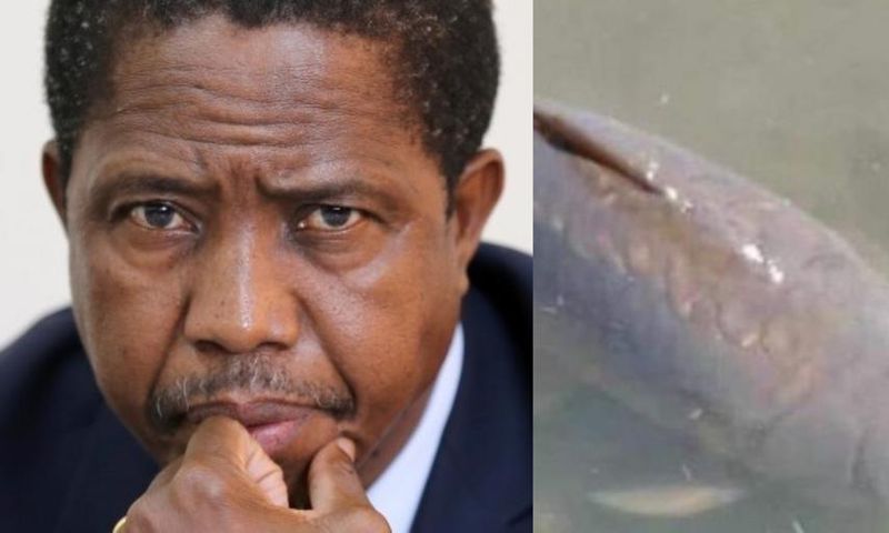 Zambian President joins citizens to mourn the death of 22-years-old fish