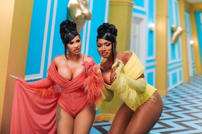 Cardi B and Megan Thee Stallion