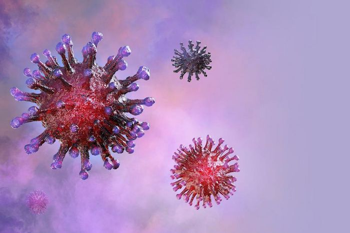 An illustration of the novel coronavirus.