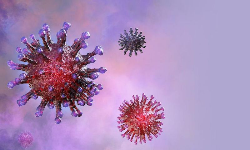 An illustration of the novel coronavirus.