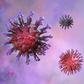 An illustration of the novel coronavirus.