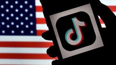 US moves to ban Chinese-owned mobile app TikTok could set a precedent for moves by other countries to limit American internet companies, analysts say