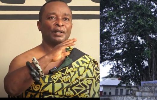 Mpeni Kofi; the tree that turns human at night to guard his people