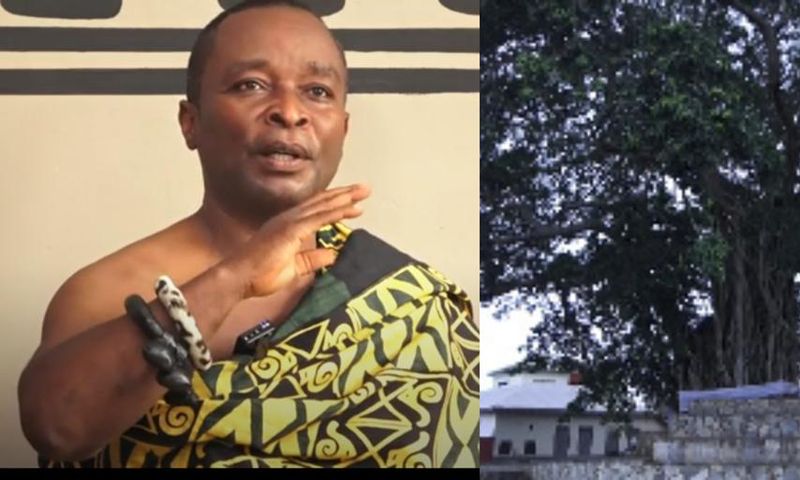 Mpeni Kofi; the tree that turns human at night to guard his people