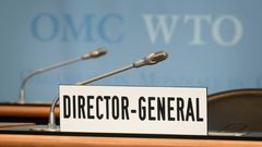 The WTO could be left with nobody at the helm if the global trade body fails to find a replacement before its Director-General steps down in August