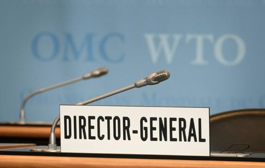The WTO could be left with nobody at the helm if the global trade body fails to find a replacement before its Director-General steps down in August
