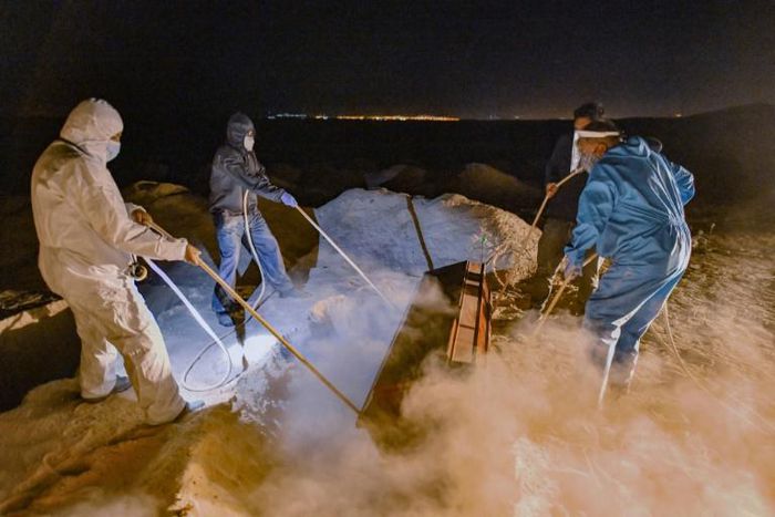 The coronavirus has killed more than 766,000 people around the world