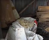 Police seize 324,000 used condoms after raiding a company repackaging them for sale