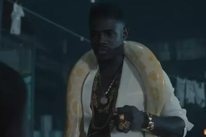 Lord Afrixana in Black is King