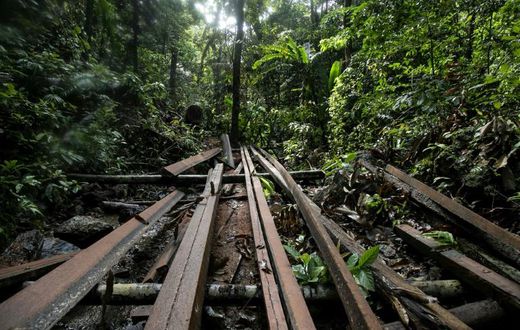 An illegal logging site discovered by Philippine environmental defenders near the tourist town of El Nido, on Palawan island
