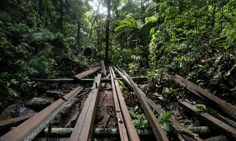 An illegal logging site discovered by Philippine environmental defenders near the tourist town of El Nido, on Palawan island