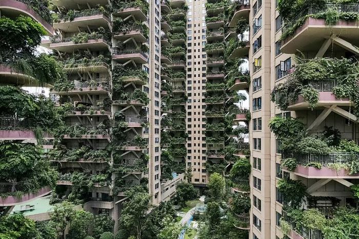 With hardly any residents to care for them, the plants at Chengdu's Qiyi City Forest Garden have overrun the towers