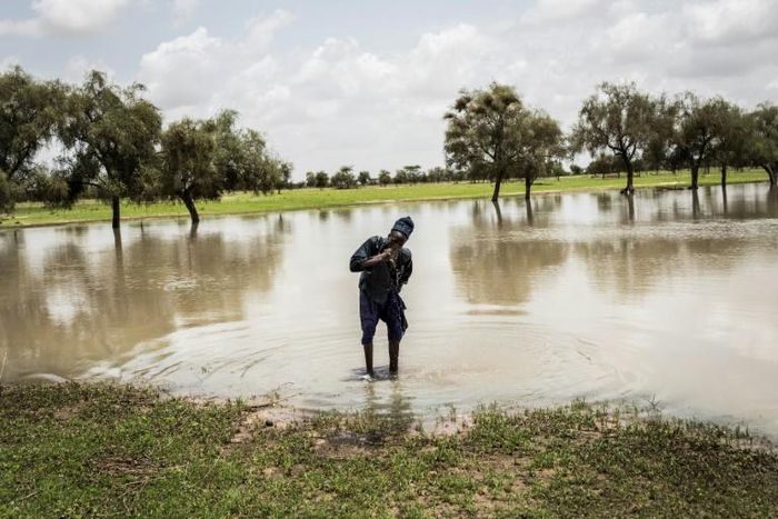 In a brown landscape turned green, a young herder in northern Senegal's Louga region washes his face in a lake created by long-awaited rains
