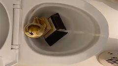 Kanye West has a total of 21 Grammys