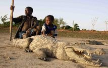 Tourist sites in Ghana: Paga Crocodile Pond