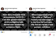 Screenshot of Afia Schwarzenegger's reply to MzBel