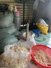 Police seize 324,000 used condoms after raiding a company repackaging them for sale
