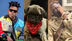 Strongman and Medikal