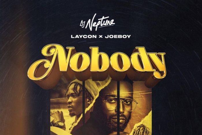 DJ Neptune featuring Laycon and Joeboy - Nobody [Icons Remix]. (Neptune Records)