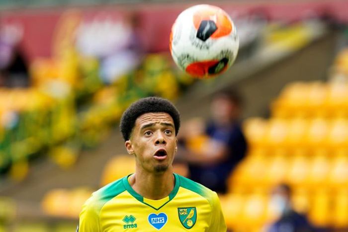 Jamal's a Geordie: Jamal Lewis joined Newcastle from Norwich on Tuesday